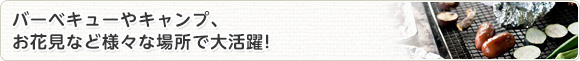 バーベキューやキャンプ、お花見など様々な場所で大活躍!